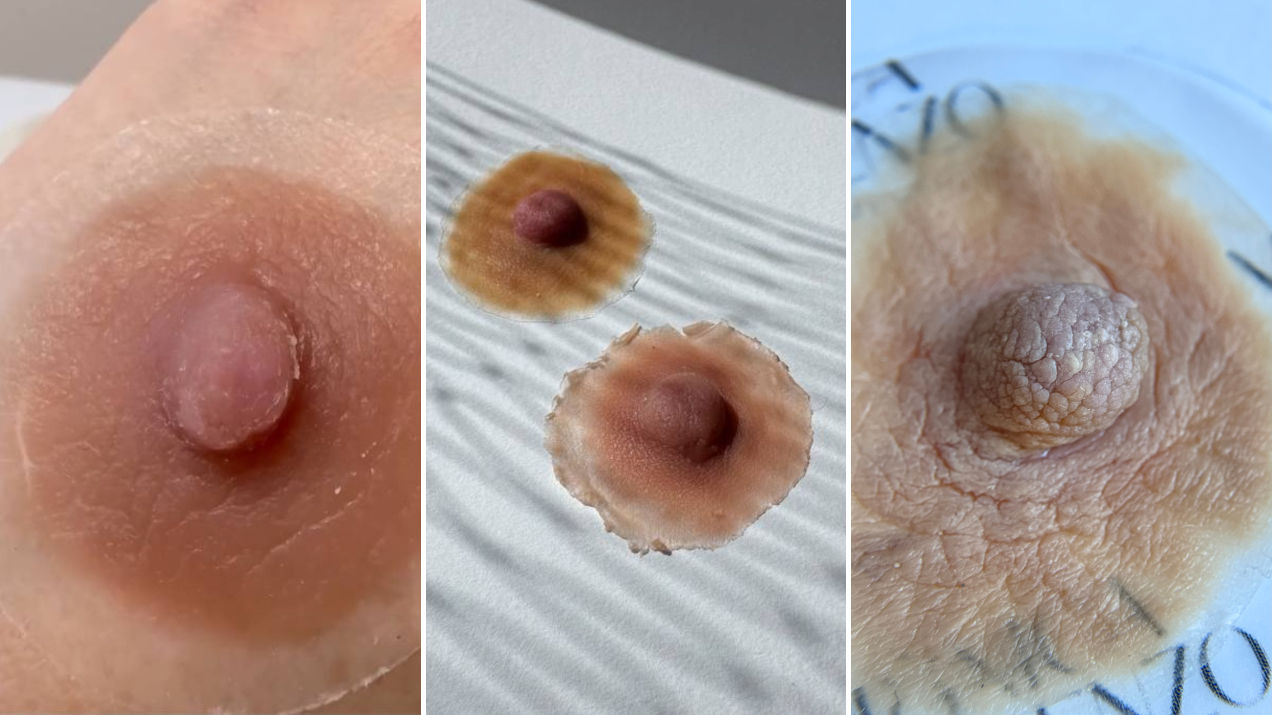 Aprende todo lo necesario para realizar protesis externas de areola realista en silicona médica.