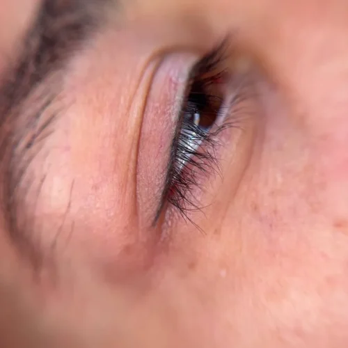 micropigmentacion-eyeliner-y-cejas-arco-definido